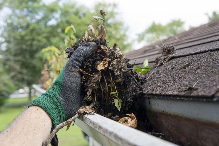 clogged gutter on shingle roof 768x512