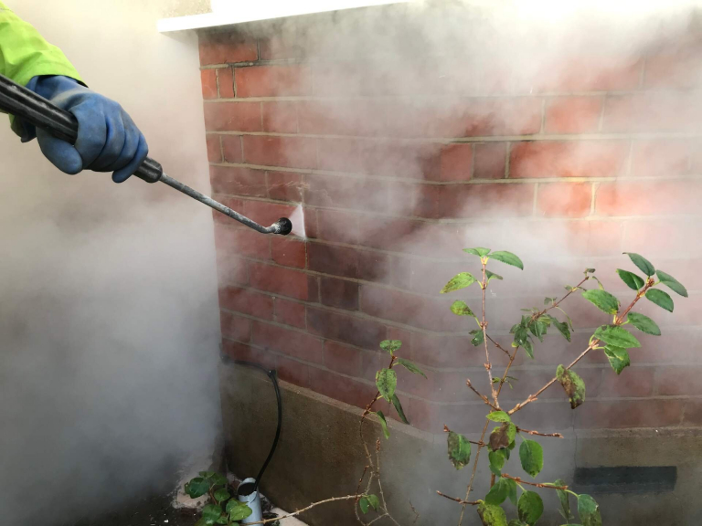steamcleaning 1 768x576