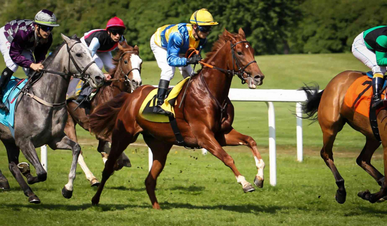 Newbury Racecourse 768x449